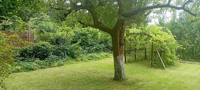 Działka rekreacyjna ROD LUMEL Zielona Góra Centrum