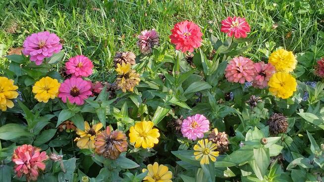 PILNIE Sprzedam Działkę Rekreacyjną