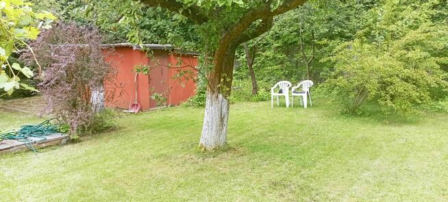 Działka rekreacyjna ROD LUMEL Zielona Góra Centrum