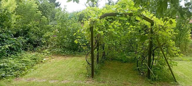 Działka rekreacyjna ROD LUMEL Zielona Góra Centrum