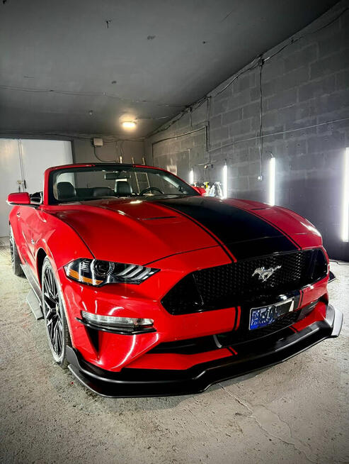 Belweder Customs