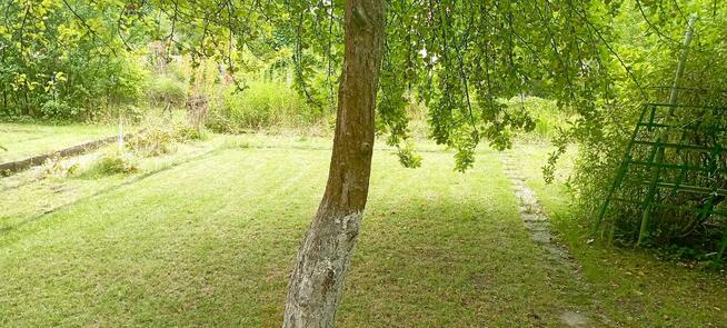 Działka rekreacyjna ROD LUMEL Zielona Góra Centrum