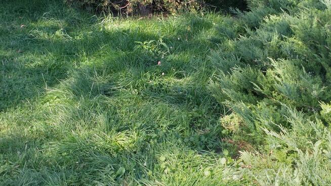 PILNIE Sprzedam Działkę Rekreacyjną