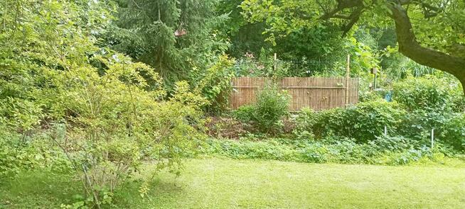 Działka rekreacyjna ROD LUMEL Zielona Góra Centrum