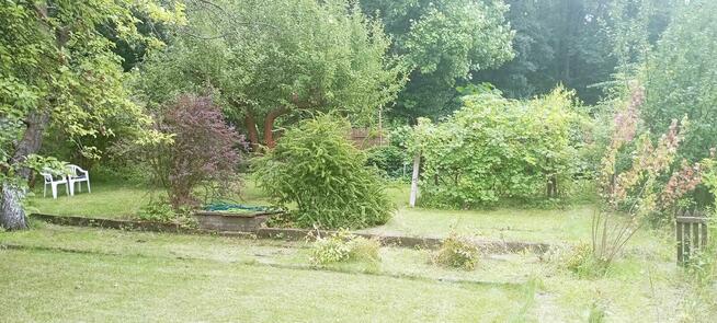 Działka rekreacyjna ROD LUMEL Zielona Góra Centrum