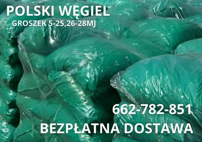 POLSKI WĘGIEL Groszek (5-25) 26-28MJ- ŻYRARDÓW I OKOLICE