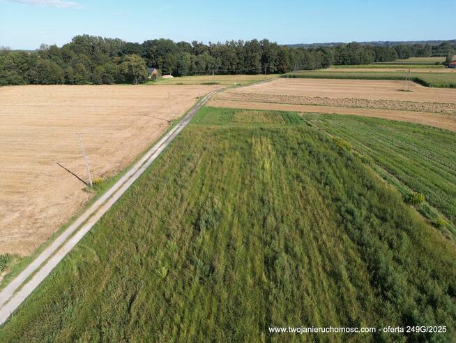 Paszczyna - działka na sprzedaż