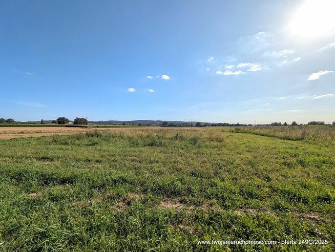 Paszczyna - działka na sprzedaż