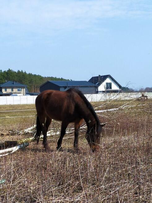 Działka 9400m usługi składowanie Czarna Rżyska Wołomin