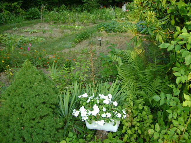 Działka ROD w ogródkach działkowych ul Nałęczowska