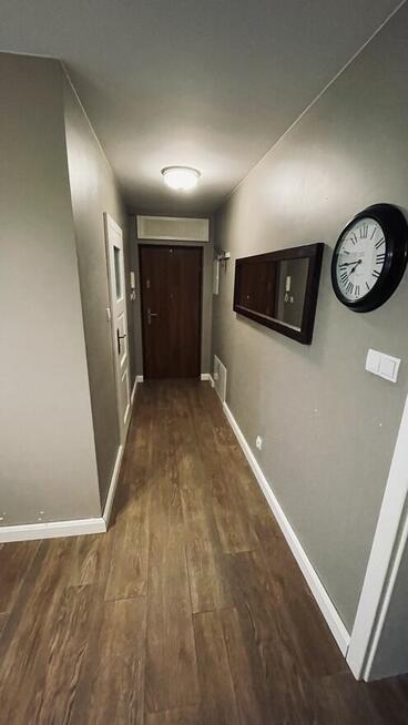 Wynajme Olesnica 38 m2 salon+sypialnia/ładne wyremontowane