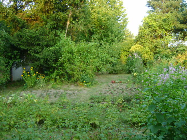 Działka ROD w ogródkach działkowych ul Nałęczowska