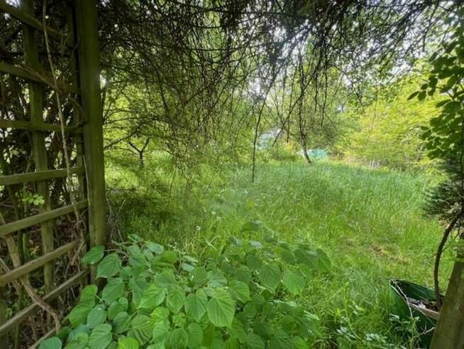 Syndyk sprzeda dom z działką w Krakowie