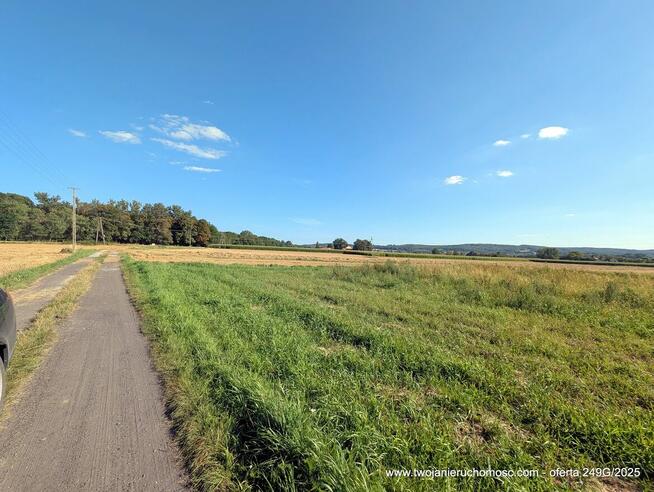 Paszczyna - działka na sprzedaż