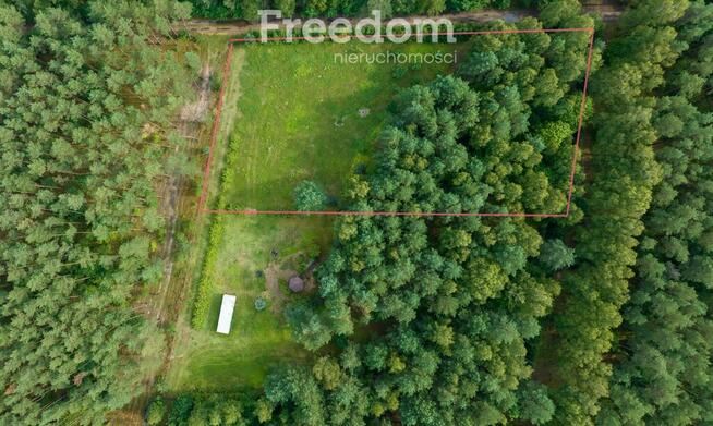 Działka siedliskowa pod lasem Więckowo