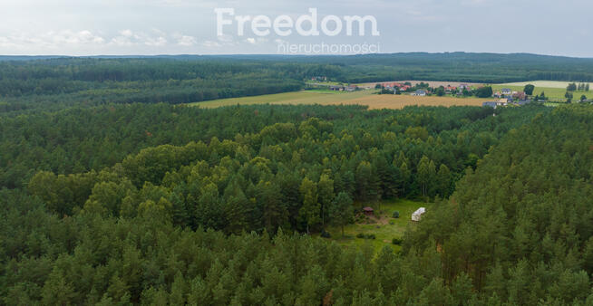 Działka siedliskowa pod lasem Więckowo