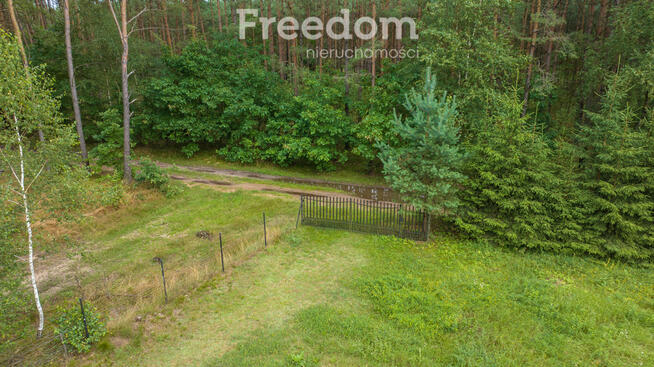 Działka siedliskowa pod lasem Więckowo