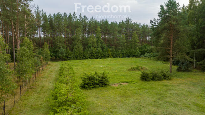 Działka siedliskowa pod lasem Więckowo