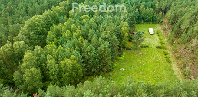 Działka siedliskowa pod lasem Więckowo