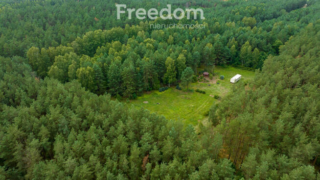 Działka siedliskowa pod lasem Więckowo