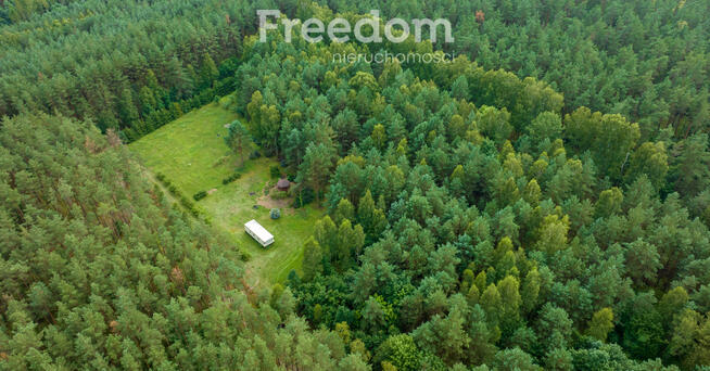 Działka siedliskowa pod lasem Więckowo