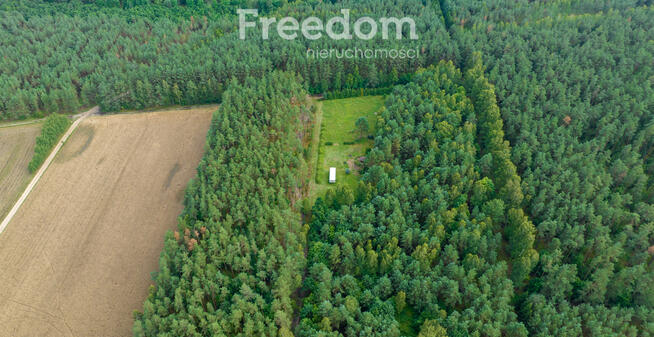 Działka siedliskowa pod lasem Więckowo