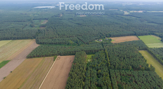 Działka siedliskowa pod lasem Więckowo