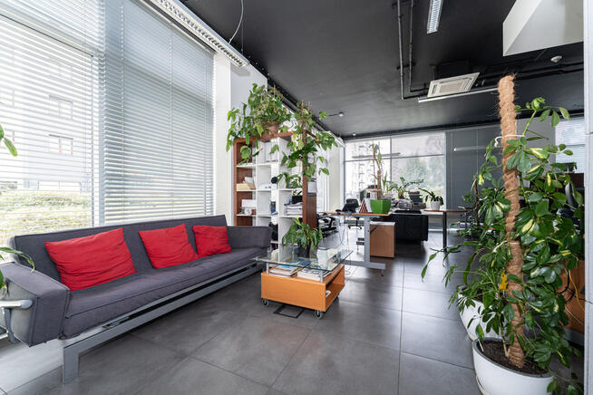 Duży lokal biurowo-usługowy w topowej lokalizacji