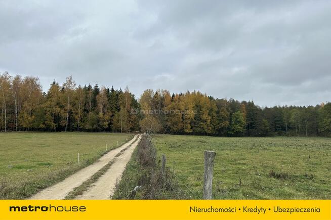 Działka rolna Róże - Mazury - 1,47 Ha