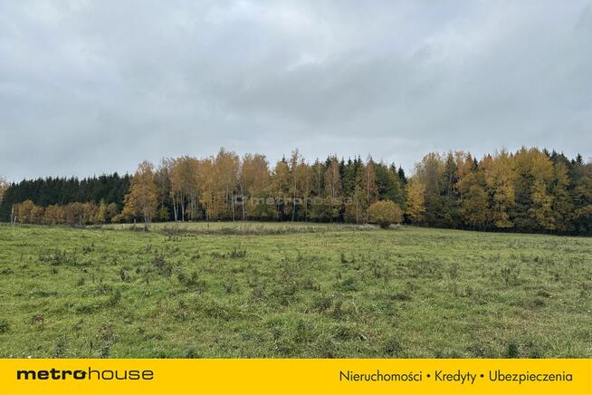 Działka rolna Róże - Mazury - 1,47 Ha