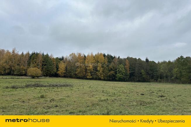 Działka rolna Róże - Mazury - 1,47 Ha