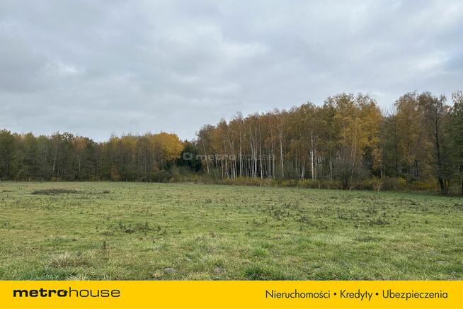 Działka rolna Róże - Mazury - 1,47 Ha