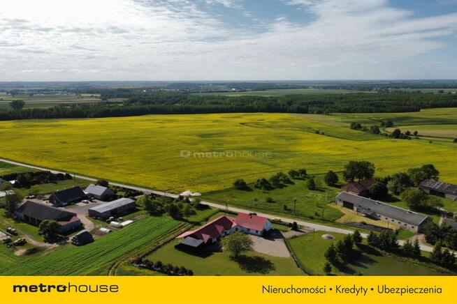 Duży dom w spokojnej okolicy/Dąbrówka