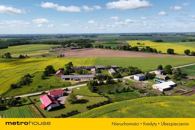 Duży dom w spokojnej okolicy/Dąbrówka