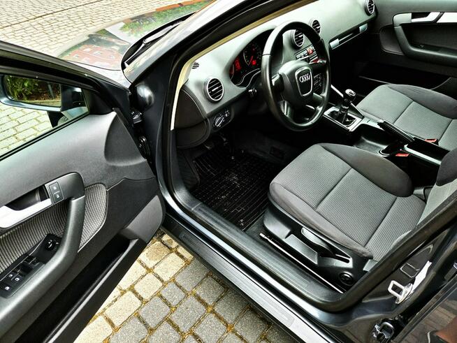 Audi A3 Panorama dach 1.6 Benzyna Klima Felgi Zarejestrowany!!