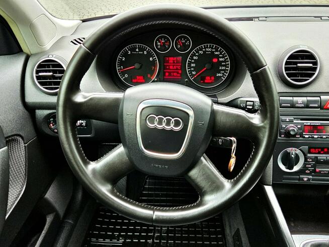 Audi A3 Panorama dach 1.6 Benzyna Klima Felgi Zarejestrowany!!