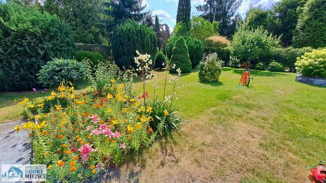 Działka rekreacyjna Mrocza Drzewianowo