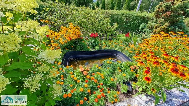 Działka rekreacyjna Mrocza Drzewianowo