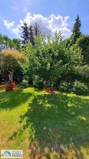 Działka rekreacyjna Mrocza Drzewianowo