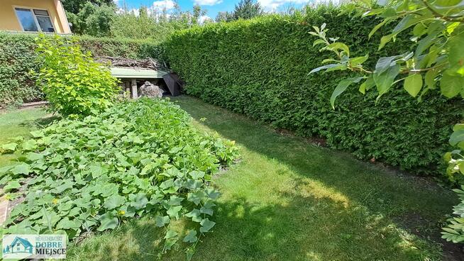 Działka rekreacyjna Mrocza Drzewianowo