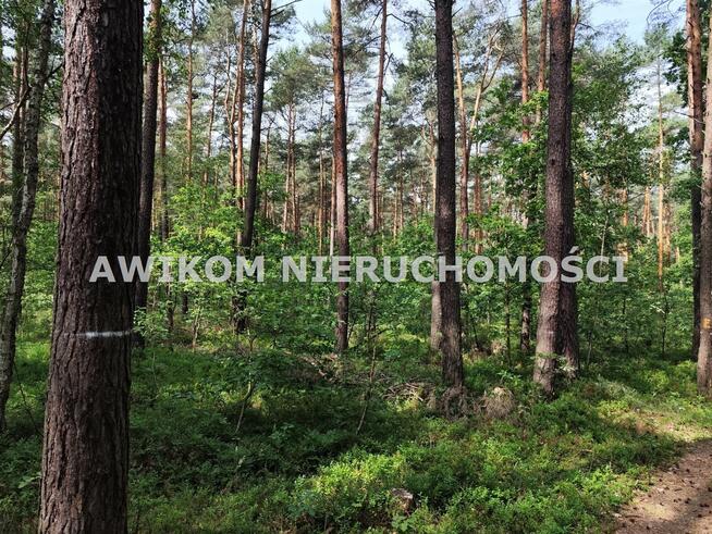 Działka Skierniewice