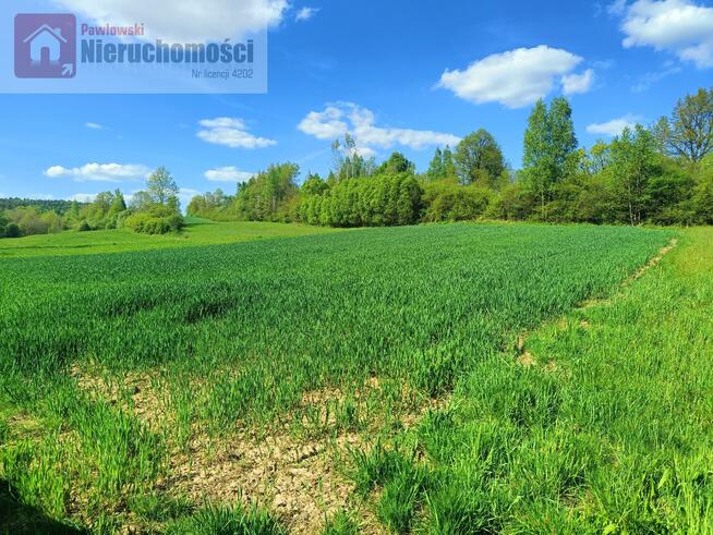 Działka rolna Wola Radziszowska gm. Skawina