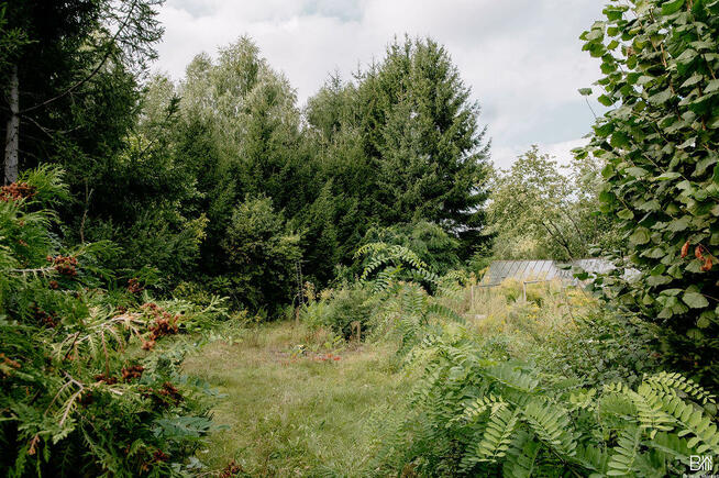 Dom Gołdap, Świerkowa