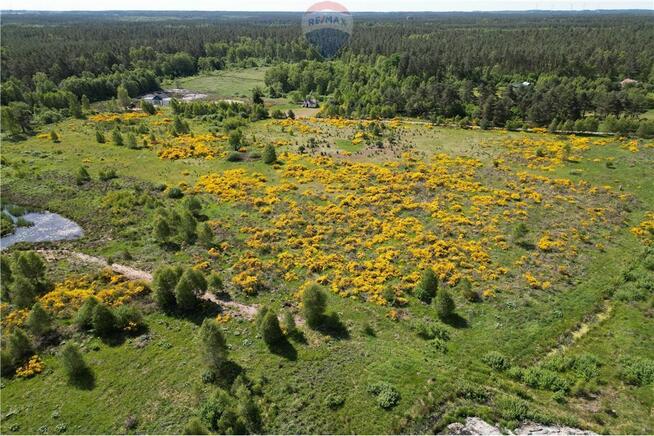 Działka pod siedlisko-Bukowa-Smołdzino
