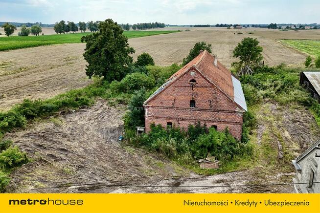 100-letni bliźniak pod Prabutami, blisko jeziora