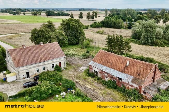 100-letni bliźniak pod Prabutami, blisko jeziora