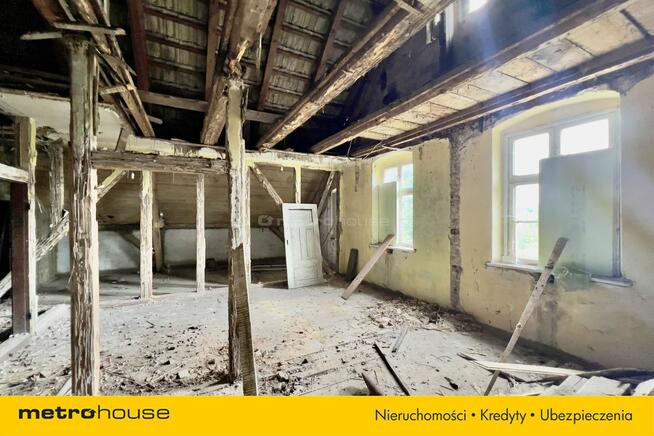 100-letni bliźniak pod Prabutami, blisko jeziora