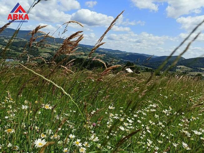 Działka budowlana Limanowa