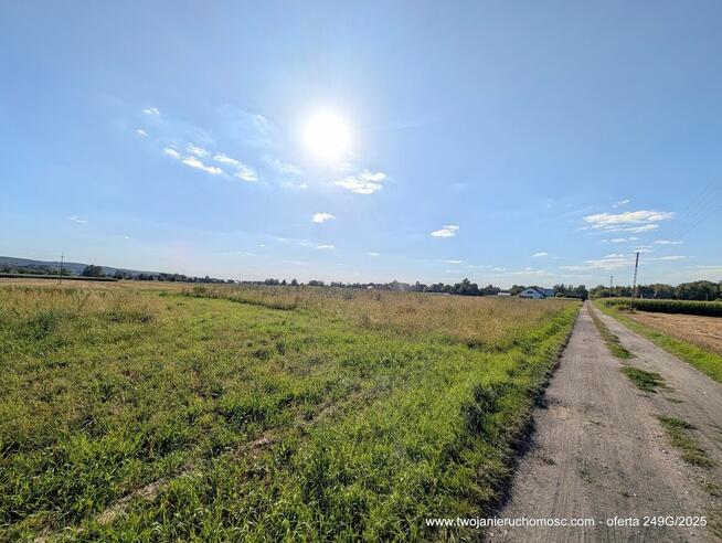 Paszczyna - działka na sprzedaż