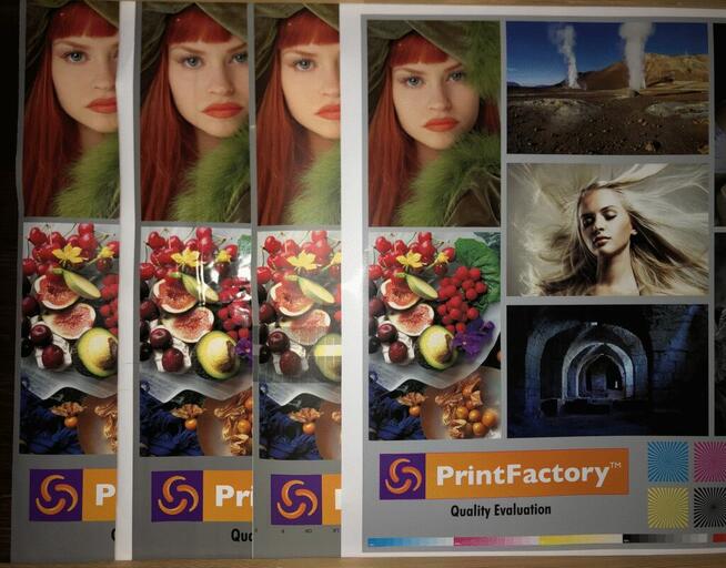 PrintFactory lic. SaaS 1rok 1Y licence Epson SC-S9100